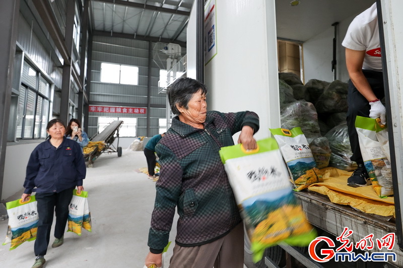 【組圖】“守滬者聯盟”丨浙江湖州：種植大戶愛心援滬 500份蔬菜包發往上海