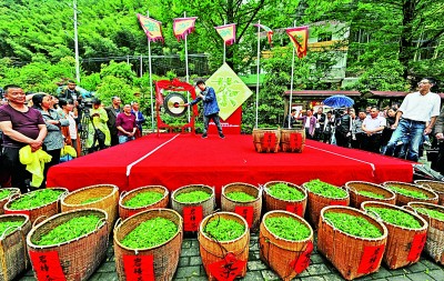 浙江：揚鞭奮蹄新賽道