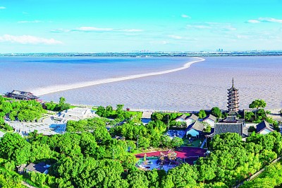 浙江：揚鞭奮蹄新賽道