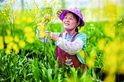 福建：用奮斗譜寫幸福新篇章