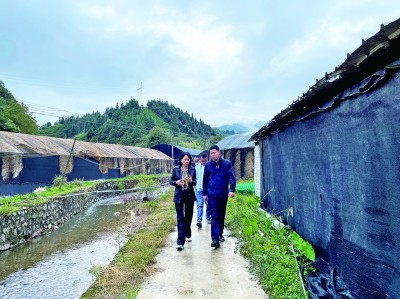 民有所呼，我有所應(yīng)