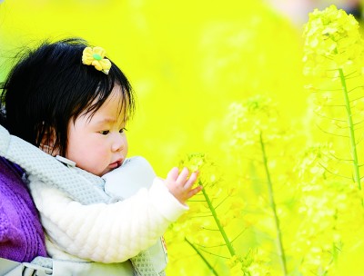 春光正好，鄉(xiāng)村旅游提質(zhì)升級再出發(fā)