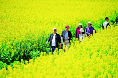 春光正好，鄉(xiāng)村旅游提質(zhì)升級再出發(fā)