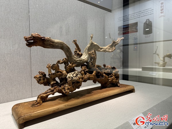 新春走基層｜春節(jié)里的博物館，“龍”味十足！