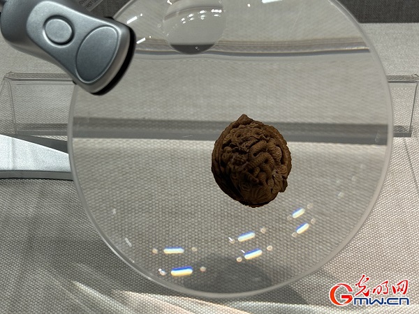 新春走基層｜春節(jié)里的博物館，“龍”味十足！